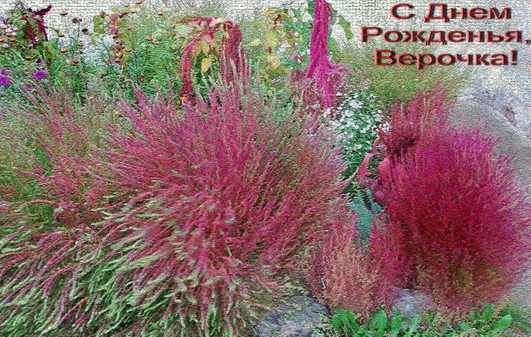 Поздравление Верочке!