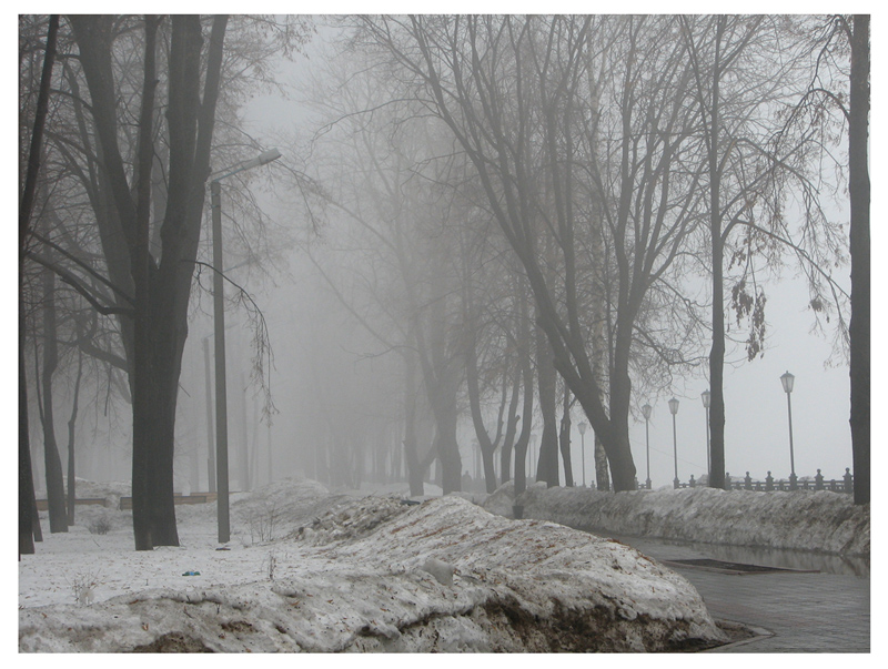 the fog