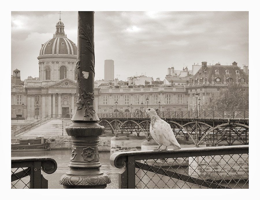 Charme de Paris: SEINE II