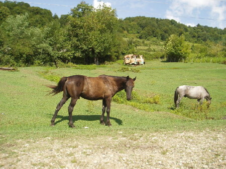 Возвращение в невинность.