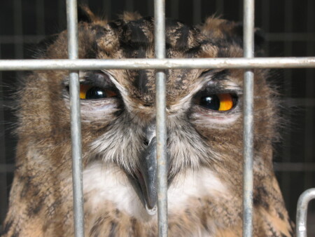 Не зли меня.падла!