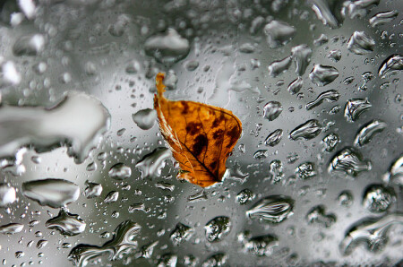 осень наступила.......