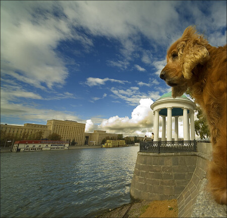 Осень в городе