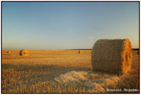 Русское поле