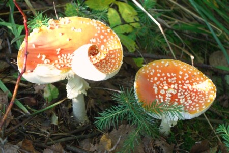 по одежке встречают...