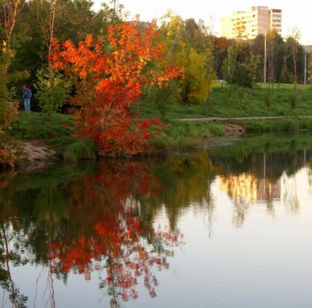 осень в небе