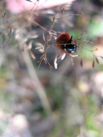 А что, лето уже кончилось?