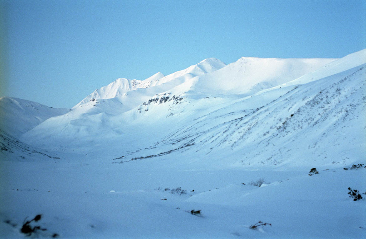 на камчатке