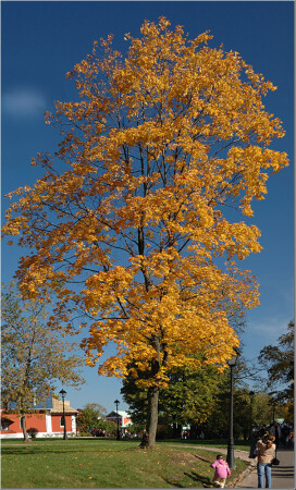 Москва. Царицыно. Осень [2]