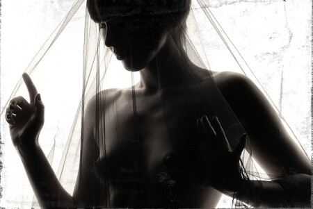 Widowed Bride