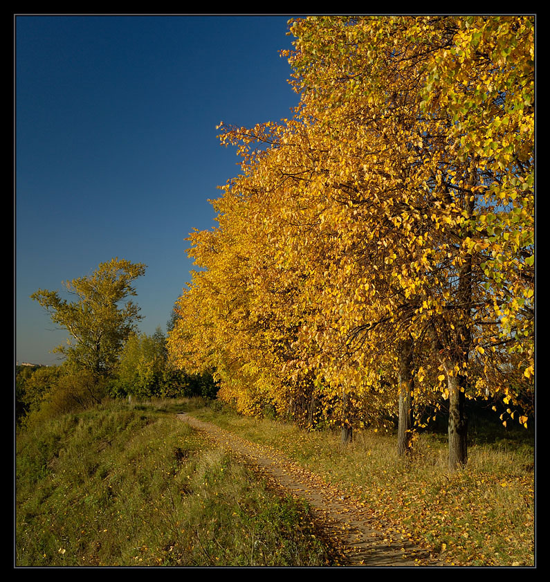 Das Herbst