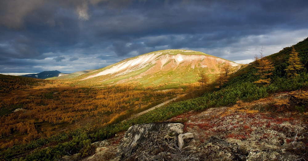 Осень
