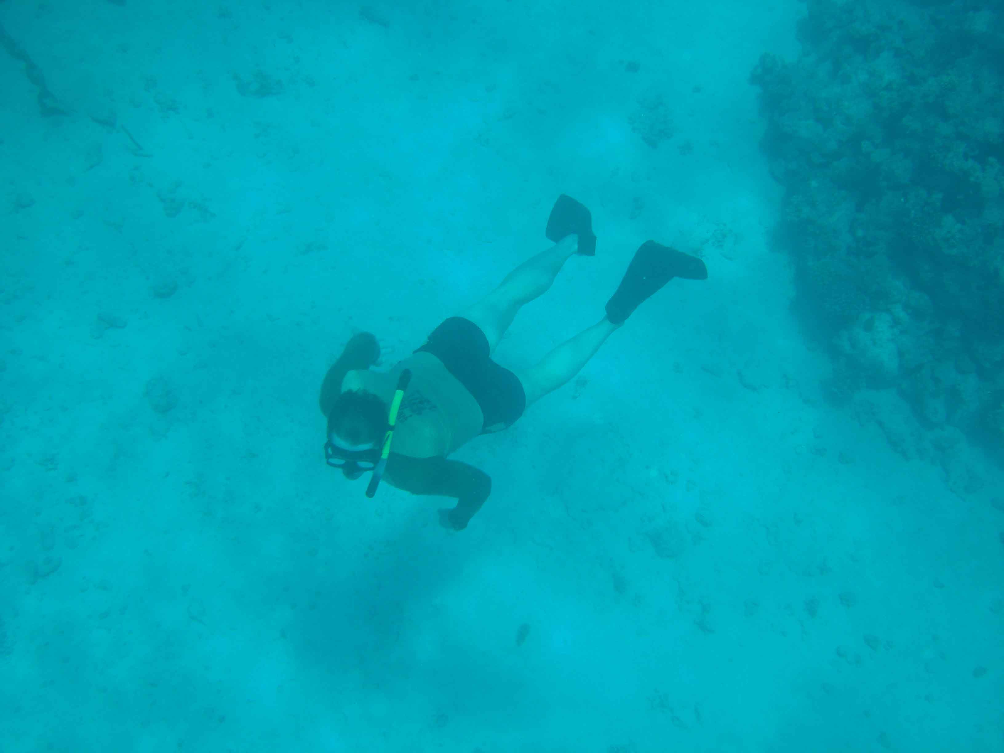 FreeDive