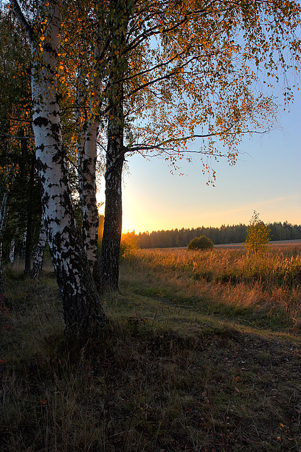 Осень в HDRi - 2