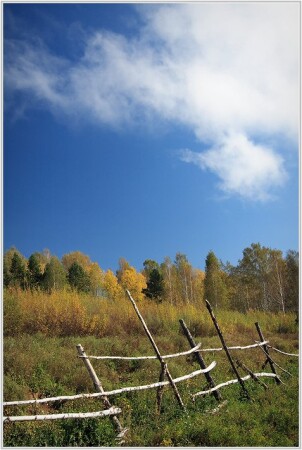 изгородь