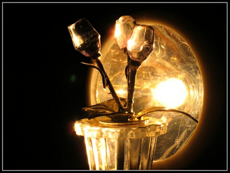 backlight