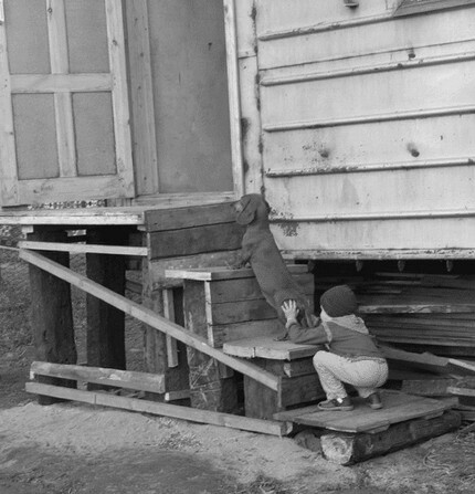 Ребенок с собачкой 