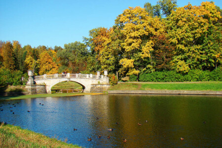 Павловский парк.