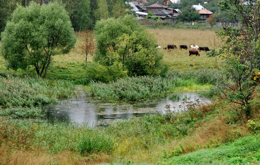 Россея (2)