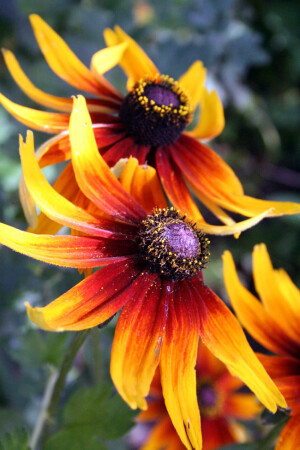 Память о лете