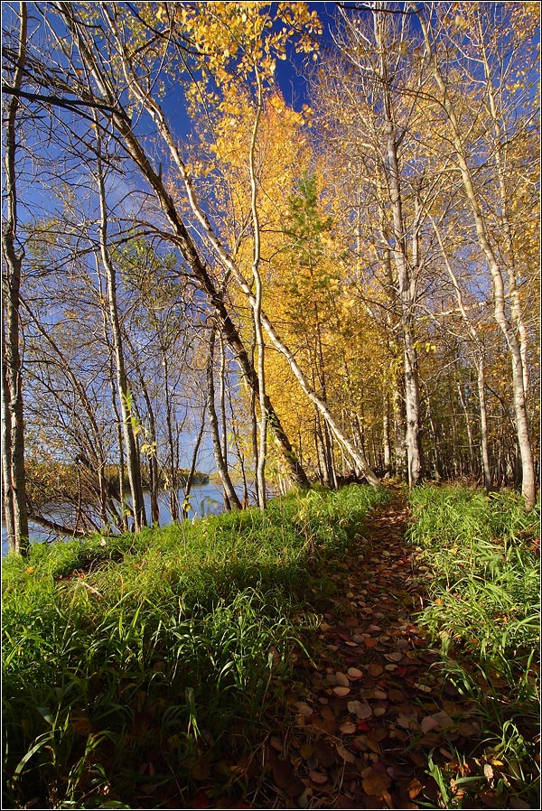 По осенней тропинке