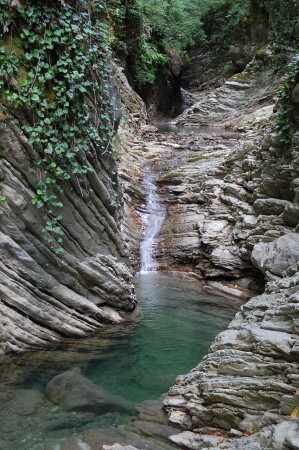 Прохладная купель