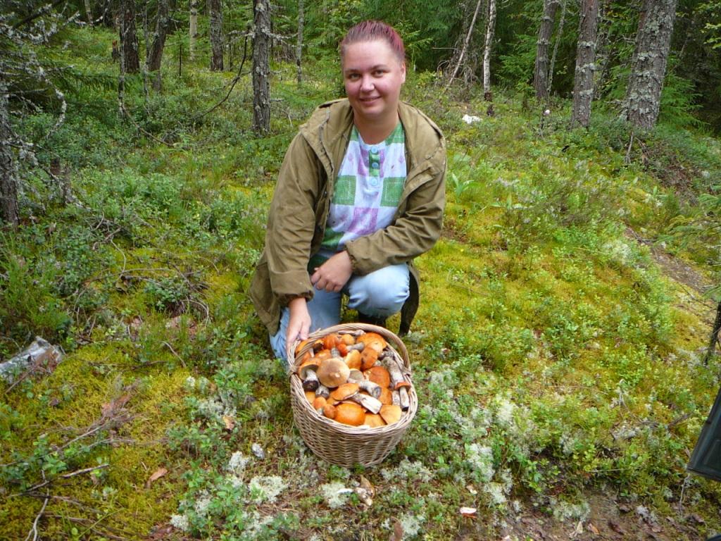грибы