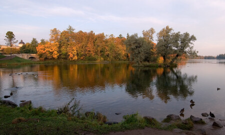 Гатчина