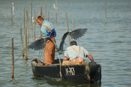 прилетела подмога