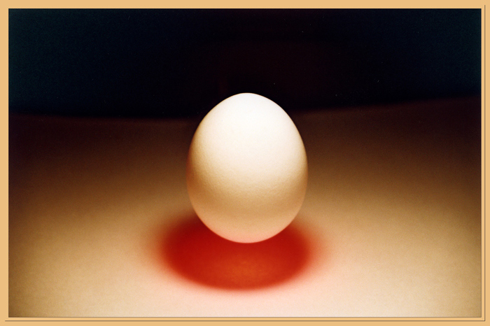 Egg