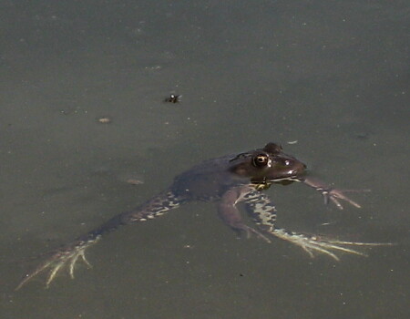 Хочу дышать