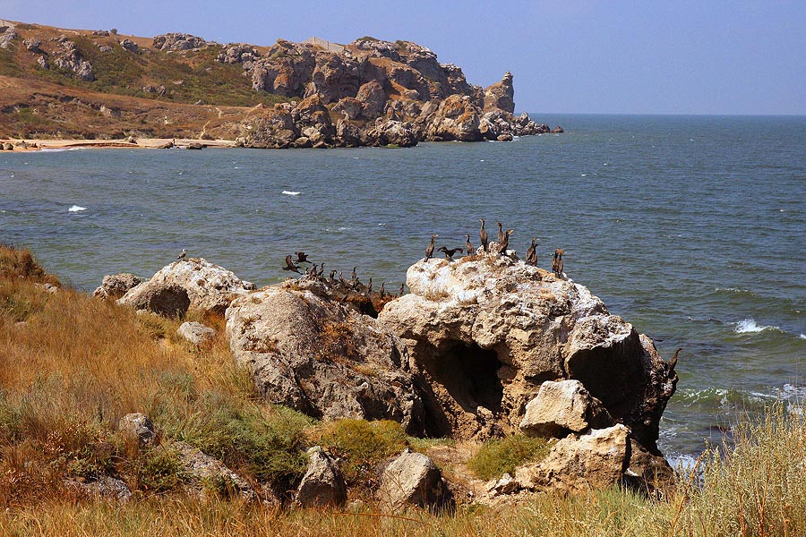 Про море