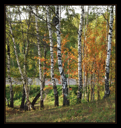 Осень
