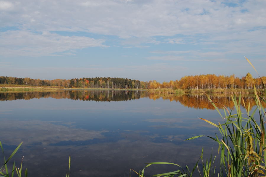 Осенние отражения