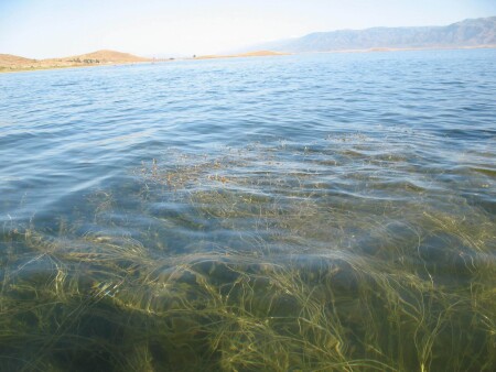 грань миров