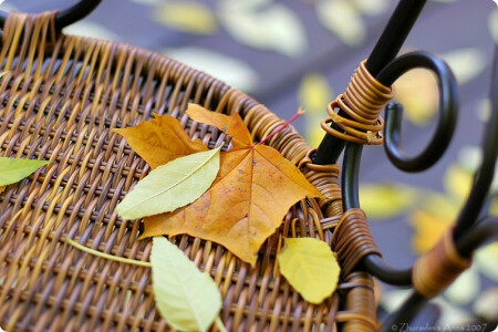 осеннее настроение