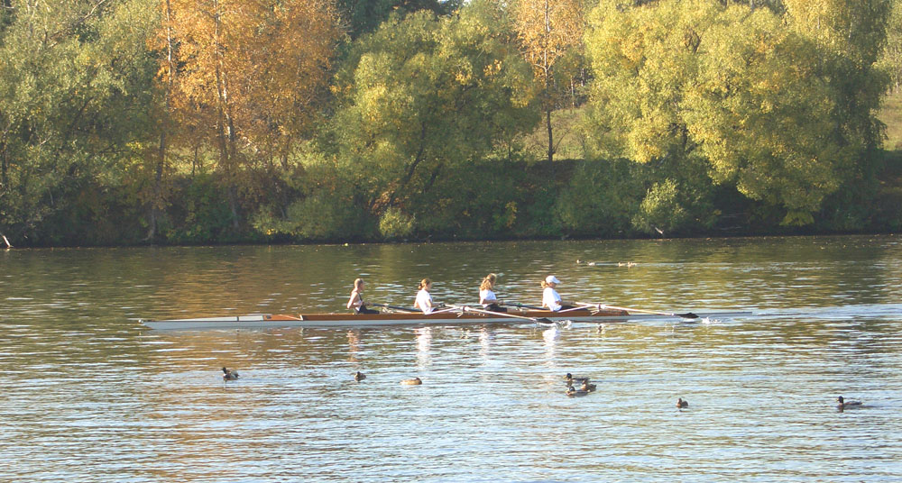 Водоплавающие