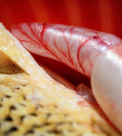 перед ухой...