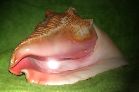 From Atlantic Ocean