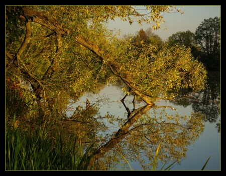 Вечер в Архангельском 2