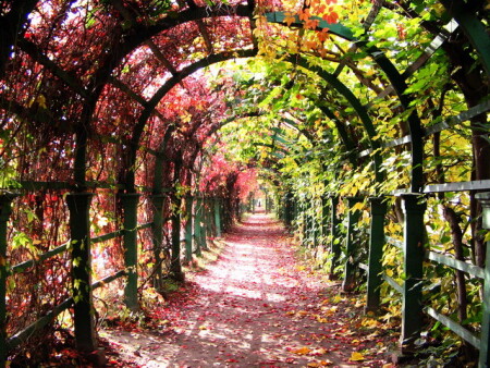 Дорога в осень