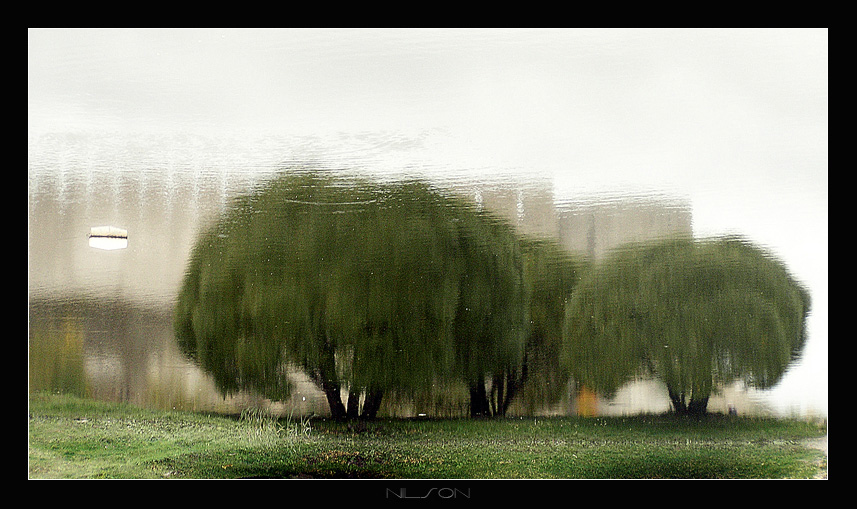 * в отражение 