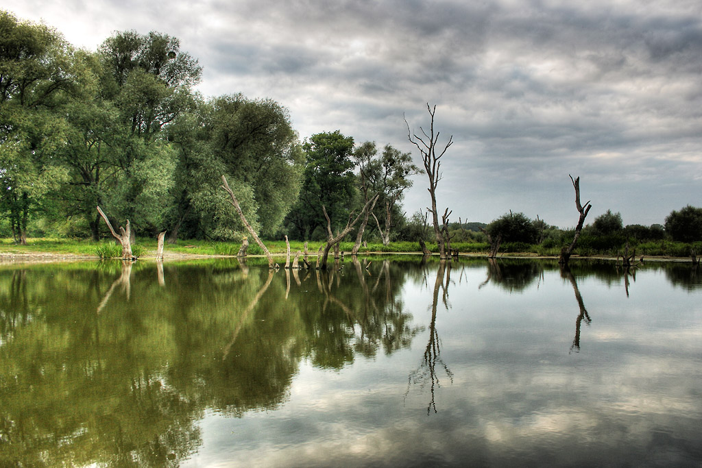 Призраки В Реке