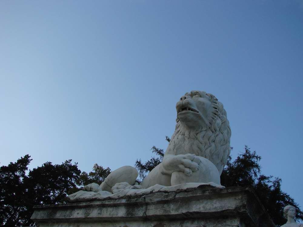 Лев