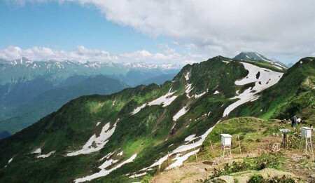 здесь самый вкусный мед