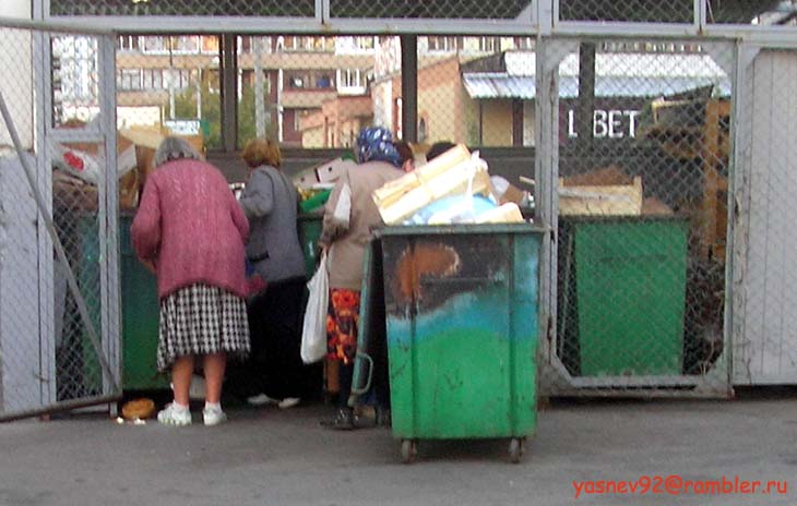 Сортировка отходов в поисках еды.