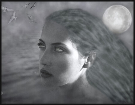 SeeingOcean&ColdMoon