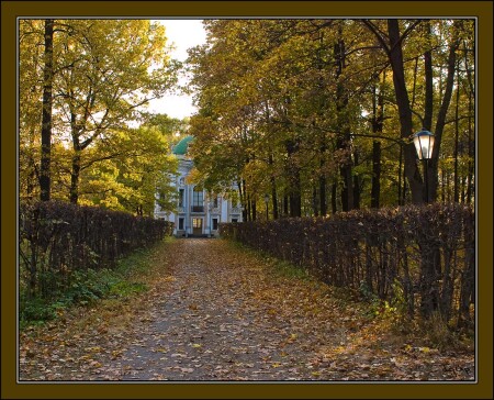 Осень в Кусково.
