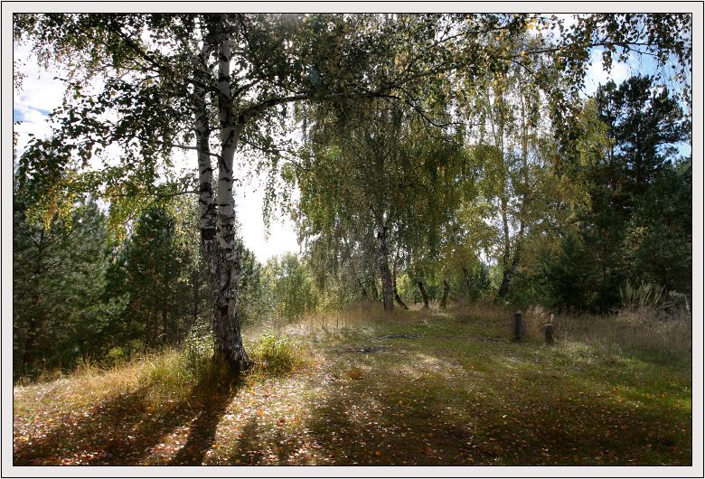 Осень на Алтае, 3