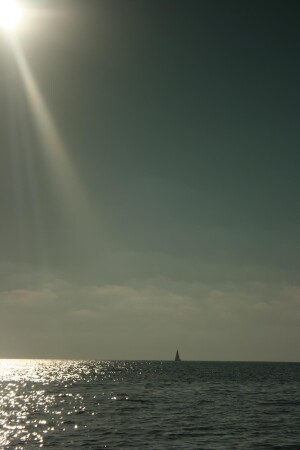 Парус одинокий